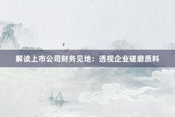 解读上市公司财务见地：透视企业磋磨质料