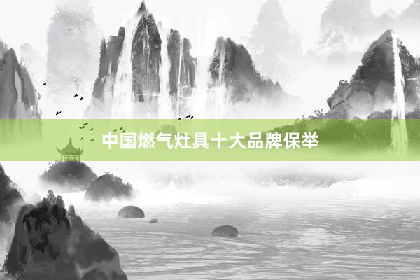 中国燃气灶具十大品牌保举
